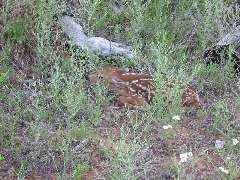Click to see 116-1648_IMG.JPG