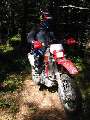 Click to see 101-0136_img.jpg